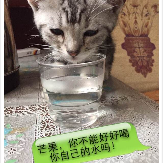 哪里可以买斯洛伐克虚拟币平台身份认证资料